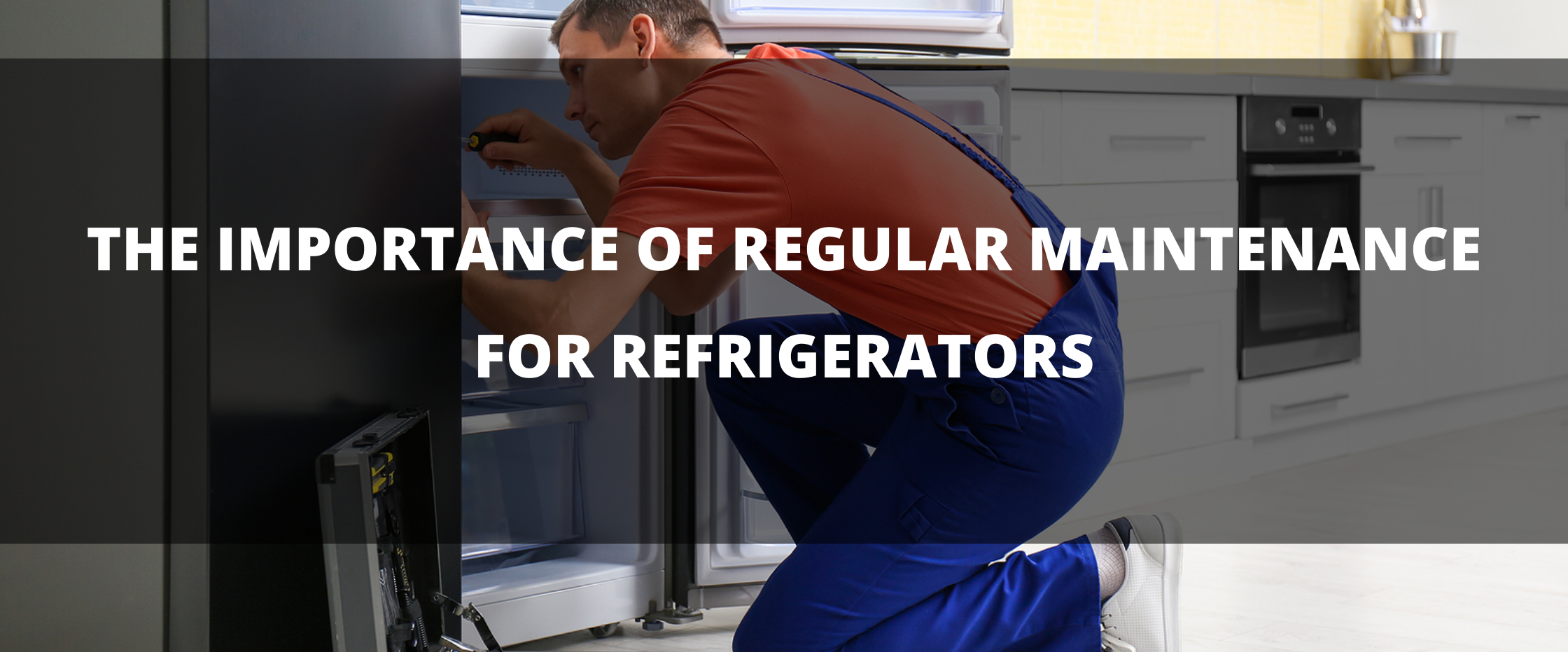 Technician Doing Regular Maintenance in Refrigerator