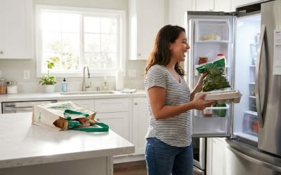 Refrigerator Cooling Failure in Torrance: How Our Team Fixed It Fast