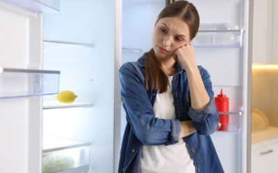 Why KitchenAid Refrigerators Struggle in Hot Los Angeles Summers