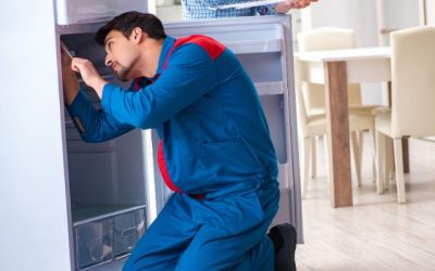 Essential Summer Maintenance Tips for Your KitchenAid Freezer